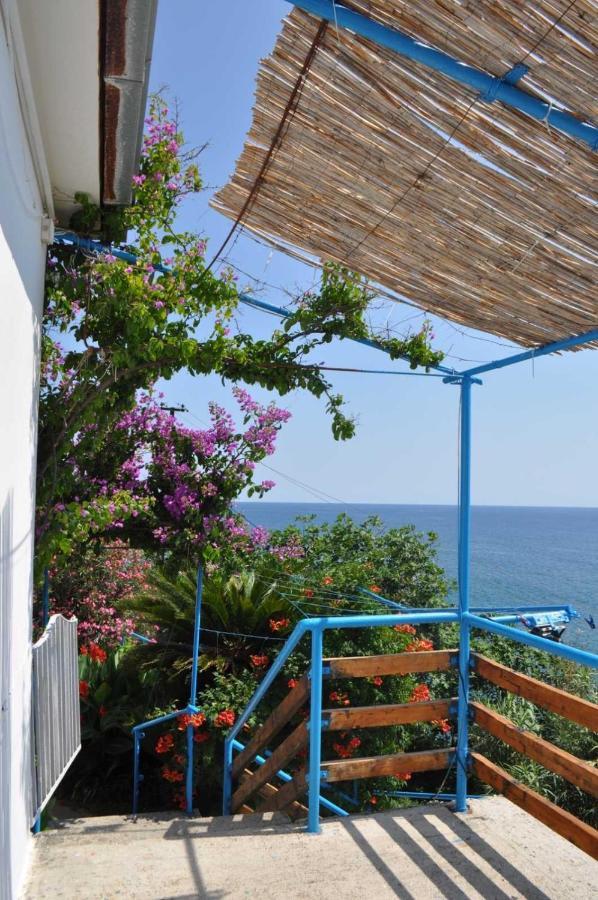Sunset Apartment Ulcinj Luaran gambar