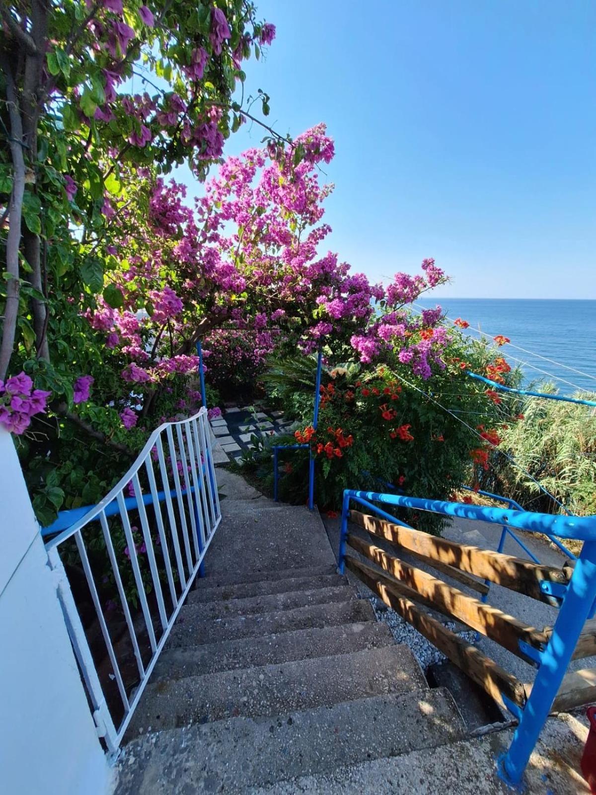 Sunset Apartment Ulcinj Luaran gambar
